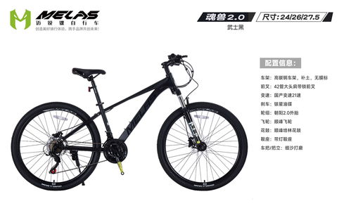 2026年中國(guó)自行車供應(yīng)鏈趨勢(shì)與選型指南 賦能電動(dòng)自行車維修行業(yè)